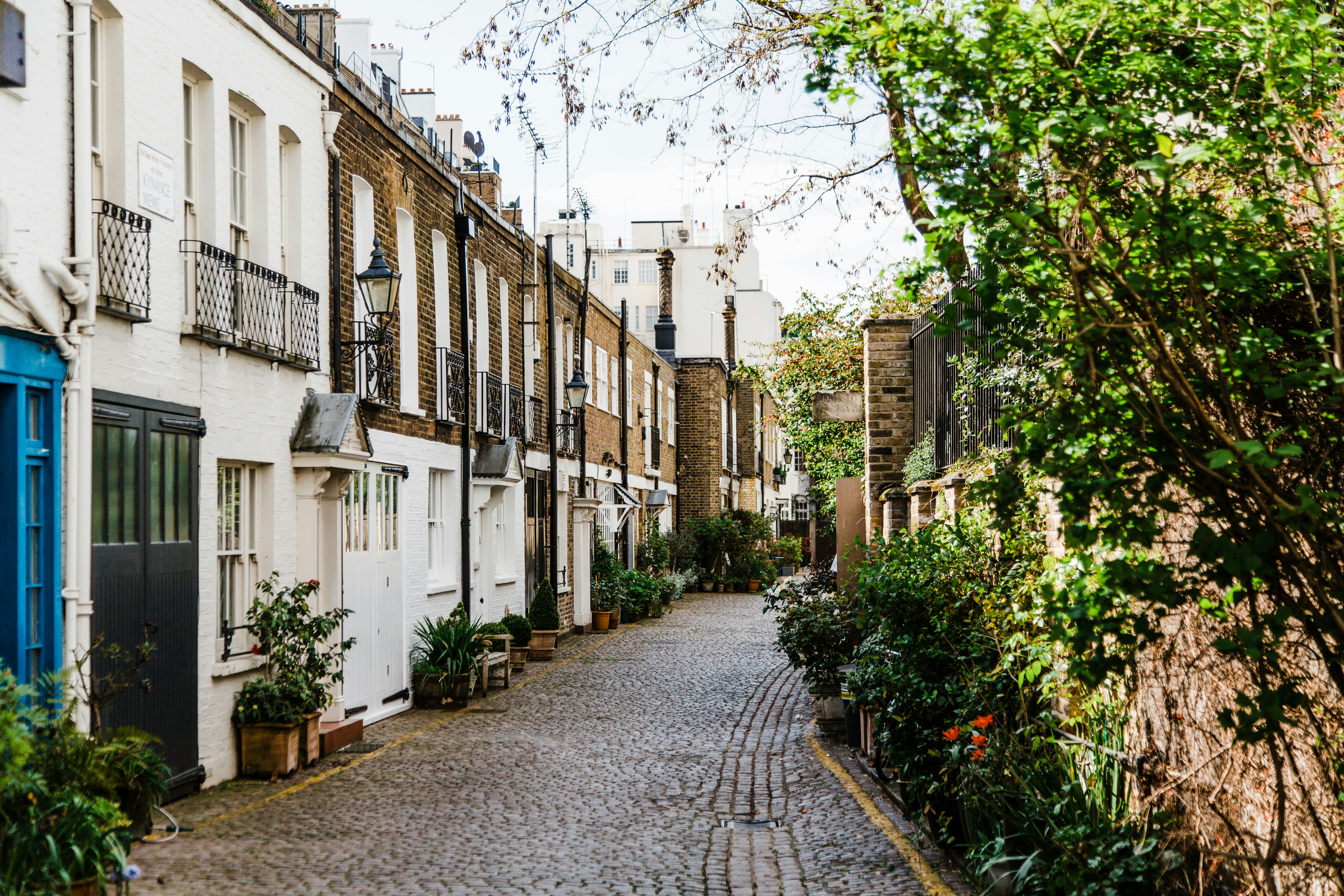 London mews street with houses